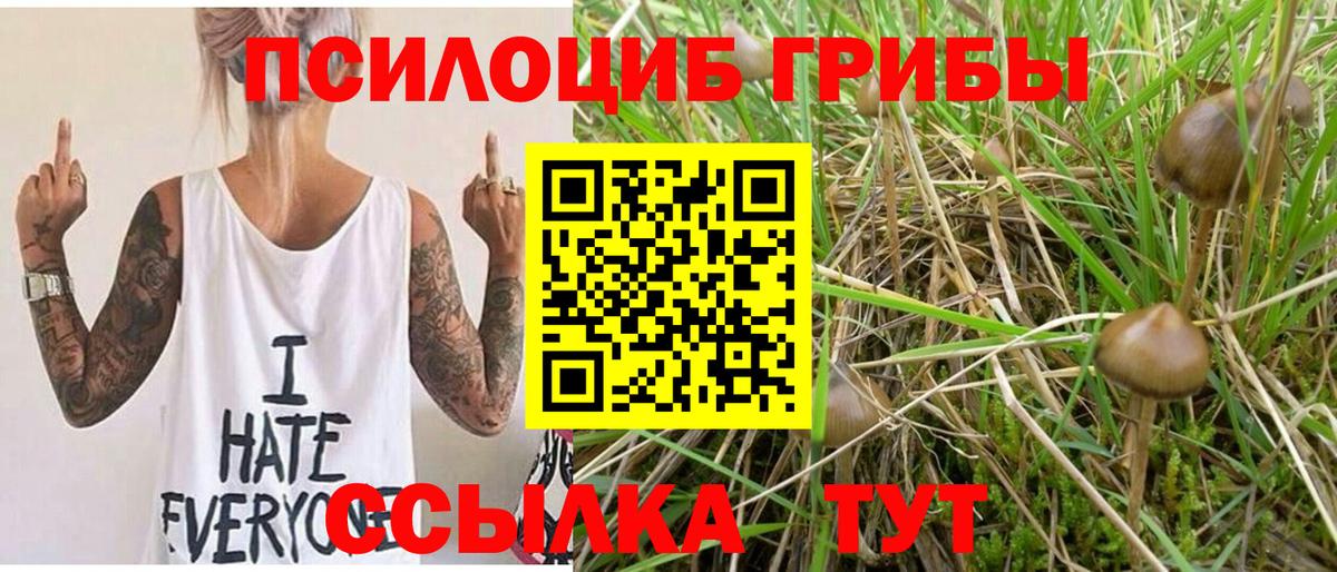 Галлюциногенные грибы прущие грибы Ялуторовск
